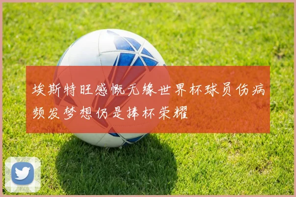 埃斯特旺感慨无缘世界杯球员伤病频发梦想仍是捧杯荣耀